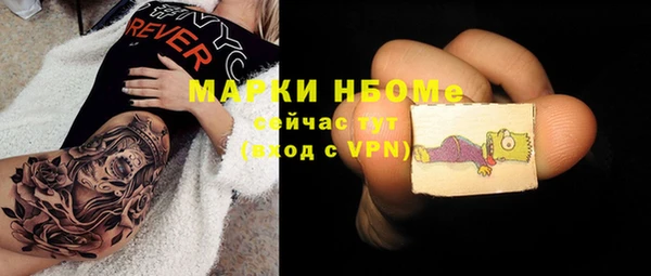 стаф Нея