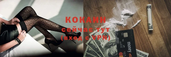 дживик Нефтекумск