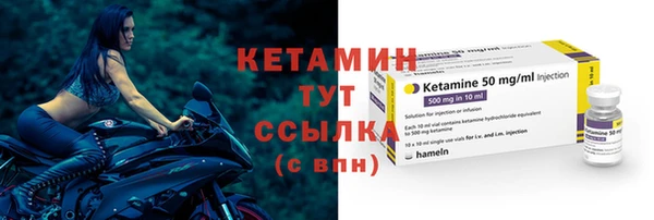 СК Новодвинск