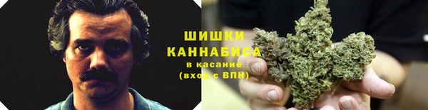 стаф Нея