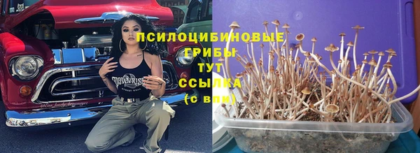 дживик Нефтекумск