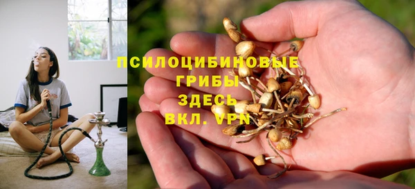 СК Новодвинск