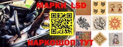 прущие крисы Камышлов