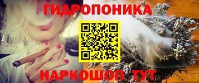 прущие крисы Камышлов