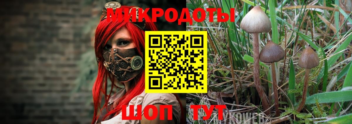 Галлюциногенные грибы ЛСД Челябинск